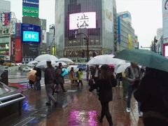 -涩谷区