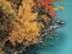 -叠溪松坪沟景区