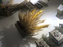 -夏叶茶(大光明店)