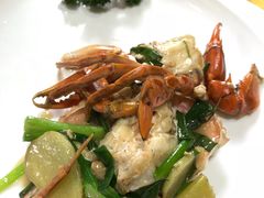 -澳门环岛游湾仔码头