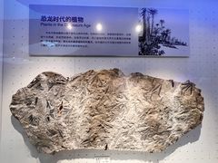-重庆自然博物馆(新馆)