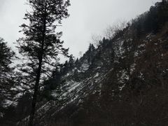 -谢智冷沾沾(万达金街店)