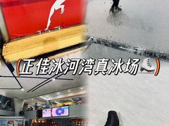 -正佳冰河湾真冰滑冰场