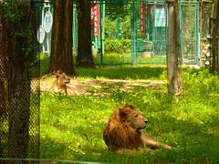 -秦皇岛野生动物园