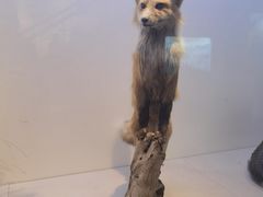 -重庆自然博物馆(新馆)