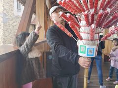 -九龙湖公园