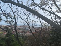 -信号山公园