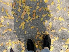 -华侨大学(厦门校区)