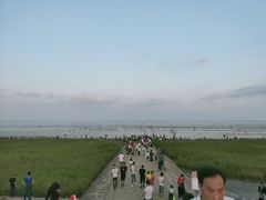 -南汇嘴观海公园