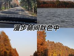 -上海海湾国家森林公园