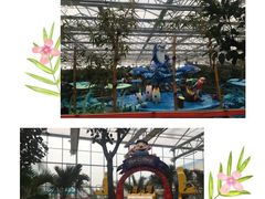 -南宫五洲植物乐园