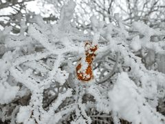 -安吉龙王山风景区