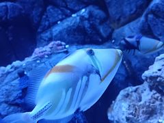 -成都浩海立方海洋公园