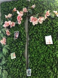 -母仪天下月子中心(光谷店)