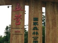 -五营红松林海景区