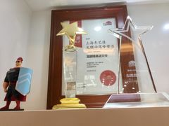 -车艺尚上海龙膜隐形车衣汽车贴膜旗舰店
