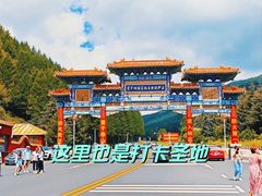 -塞罕坝国家级自然保护区