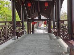 -合肥滨湖国家森林公园