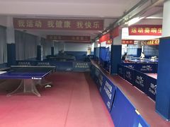 -大凤凰乒乓球馆