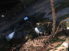 -自贡恐龙博物馆