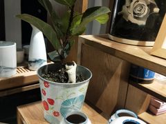 -新月集庭院咖啡馆(老邮局店)