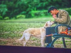 -天幕新彩云国际影城(激光巨幕店)