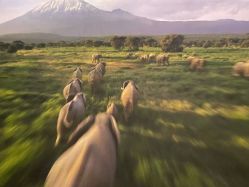 -翱翔飞越地平线