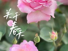 -上海辰山植物园