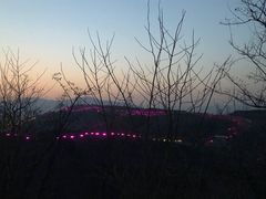 -红光山
