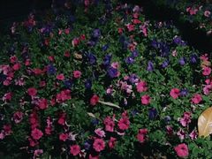 -苏州河梦清园环保主题公园