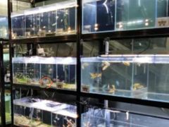 -宠物世家(仲盛世界商城店)