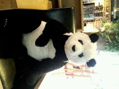 android_upload_pic-Who乎coffee&bar