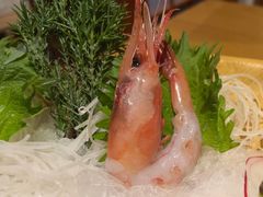 -九酢·海鲜居酒屋