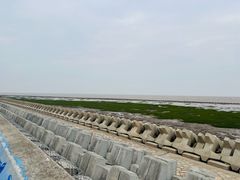 -南汇嘴观海公园