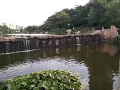-丁家河公园