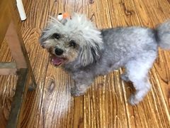 -志龙皇冠吃货椰子铺