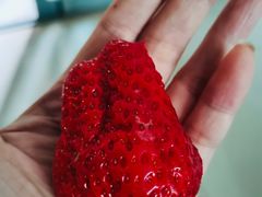 -百果园(愉景南苑店)