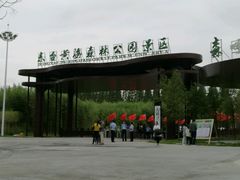 -黄海国家森林公园