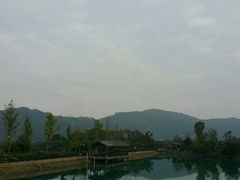 -帐篷客·溪龙茶谷度假酒店