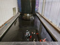 -石家庄苏亚美联臣医疗美容医院