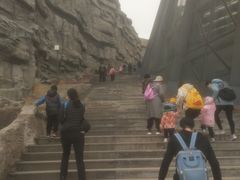 -辽宁古生物博物馆