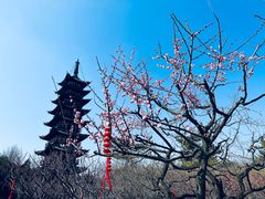 -上海方塔园