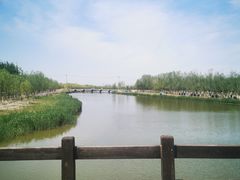 -西青郊野公园