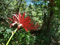 -天台山赤城山景区