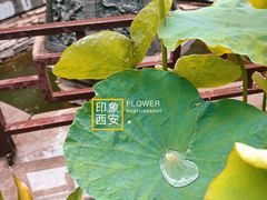 -湘子庙