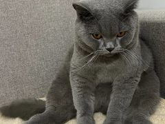 -佳雯宠物医院·皮肤科·内外科(春晓路分院)