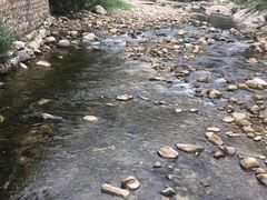 -沣峪口