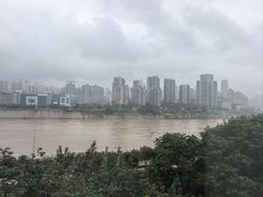 -李子坝梁山鸡(李子坝大鸡哥店)