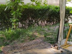 -万寿八仙宫