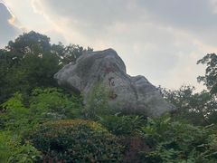 -桃花岛景观公园